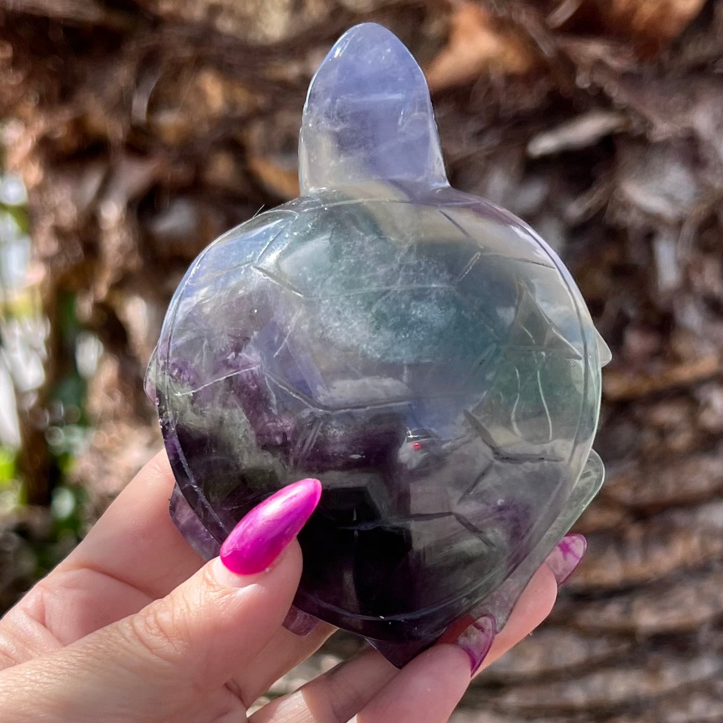 Rainbow Fluorite Turtle Carving