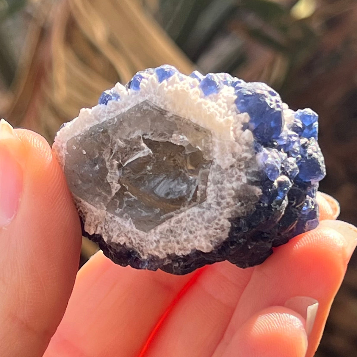Raw Blue Fluorite ~ Specialty Boxed Crystal