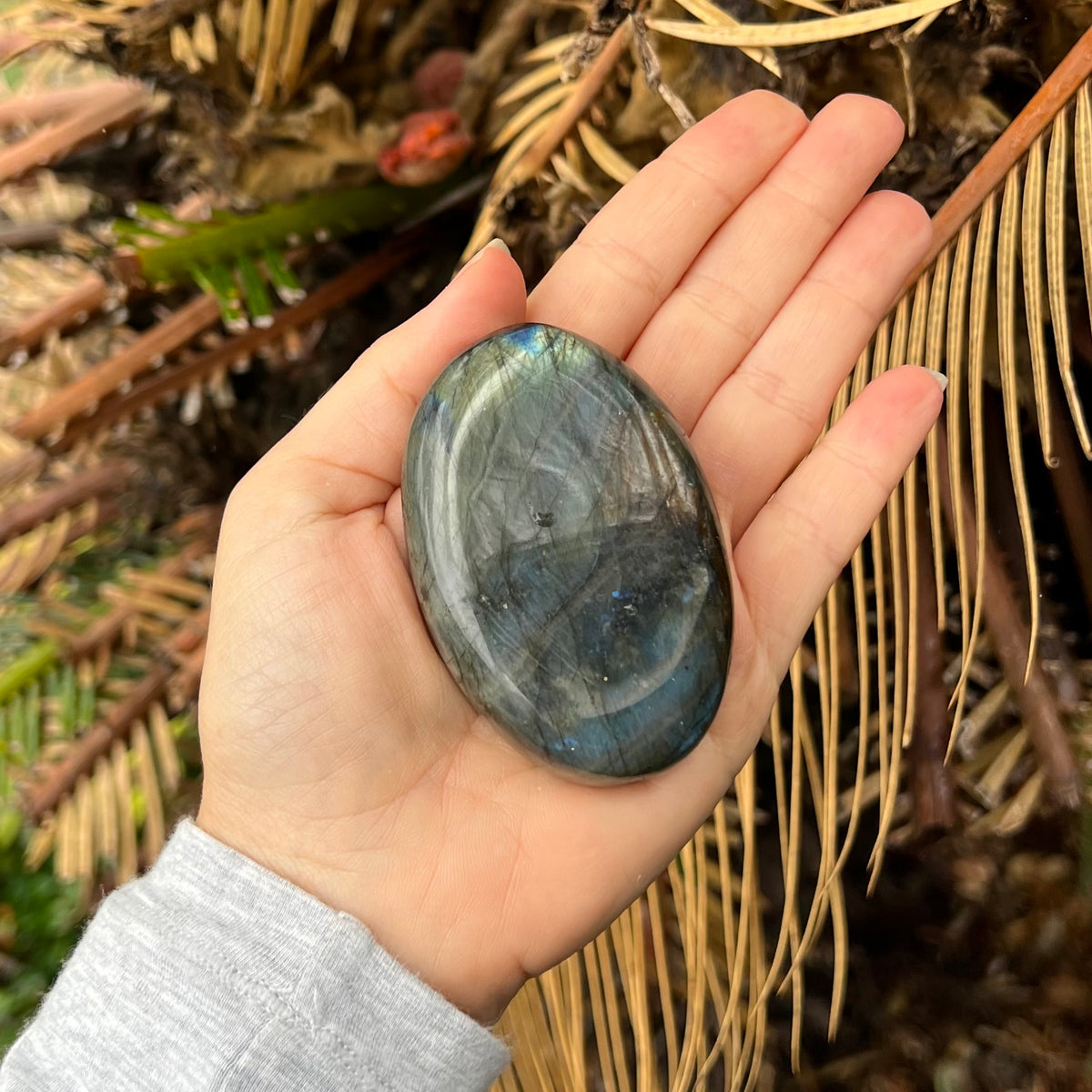 Labradorite Palm Stone ~ Specialty Boxed Crystal