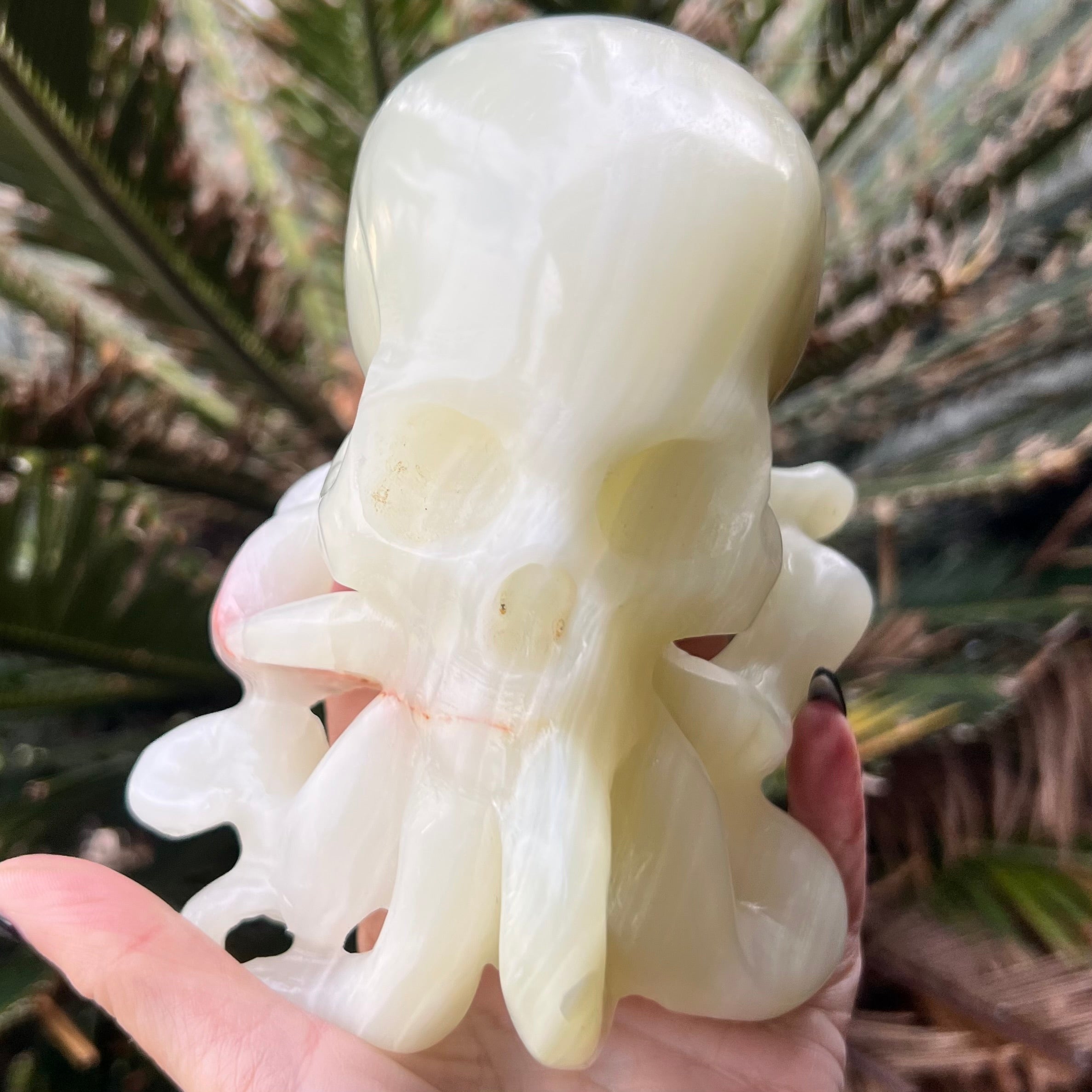 Afghanistan Jade ~ Octopus
