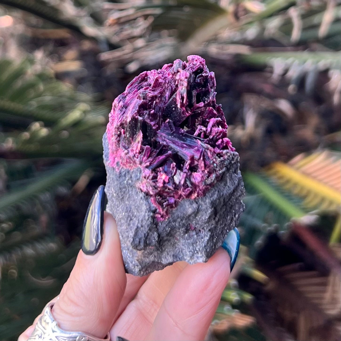 RARE… Red Vivianite ~ Etherite ~ Red Calbaton on Matrix