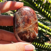 Garnet Palm Stone ~ 1