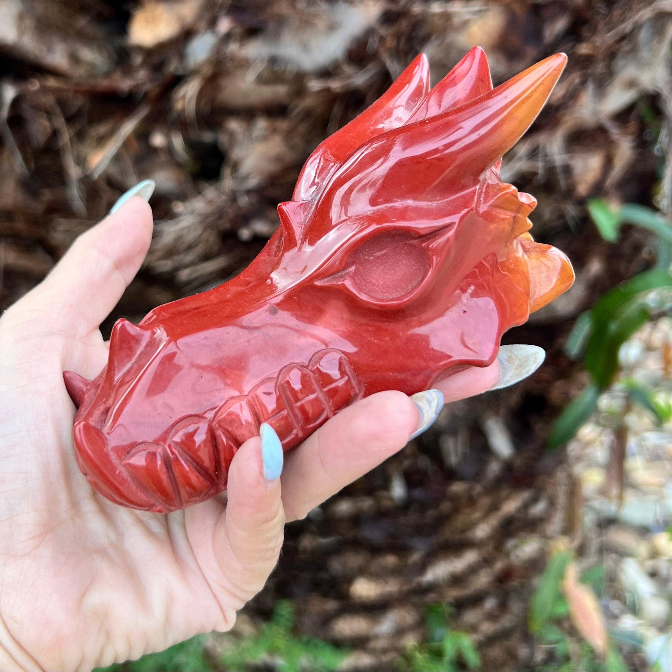 Red Jasper ~ Dragon Head