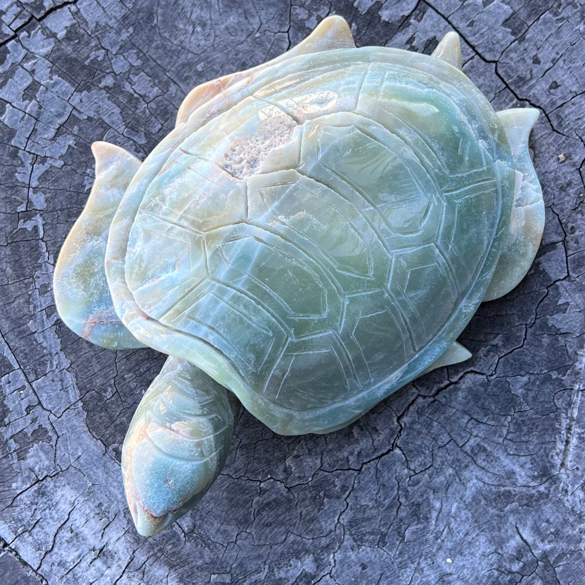 Caribbean Calcite ~  Turtle Carving