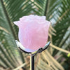 Rose Quartz Everlasting Rose