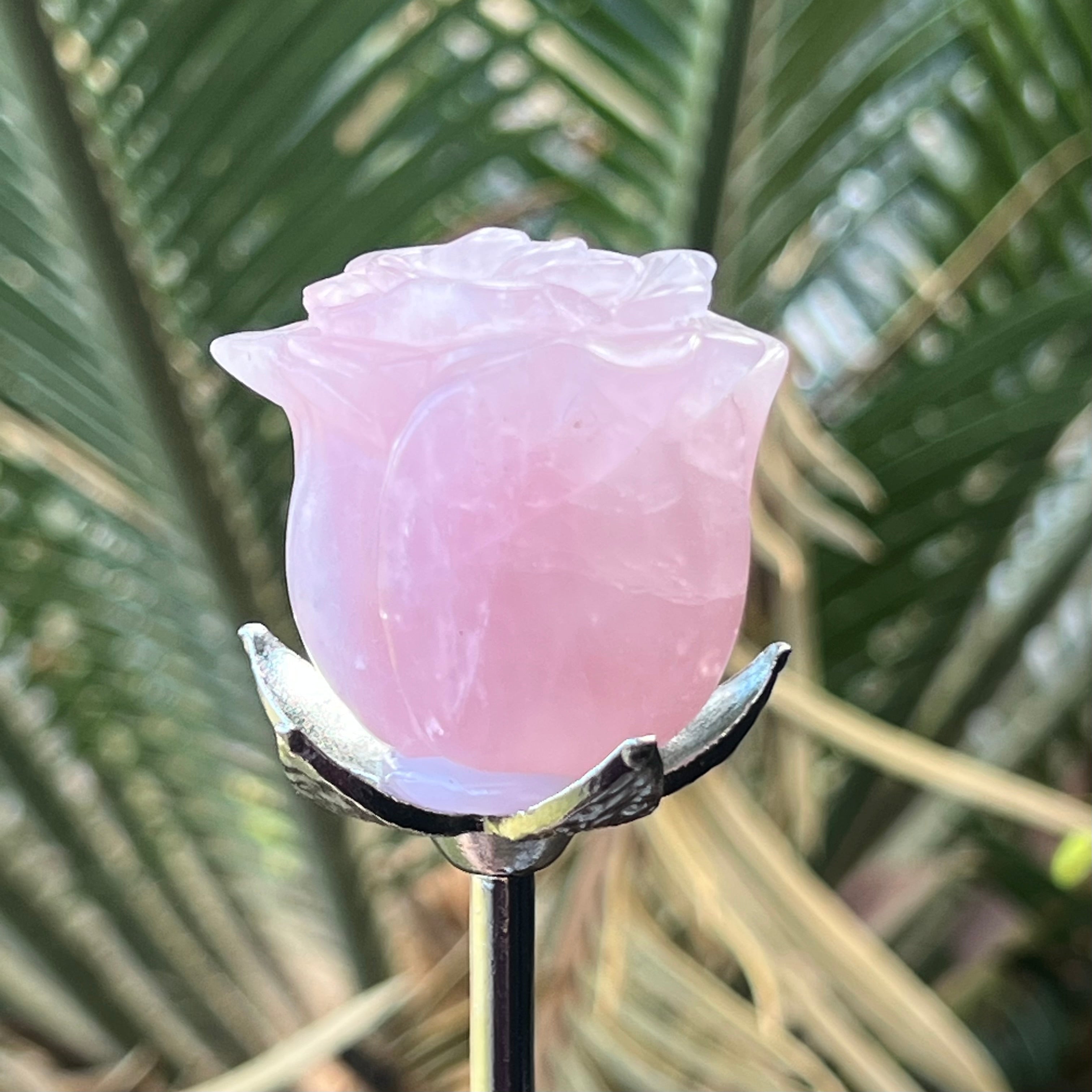 Rose Quartz Everlasting Rose
