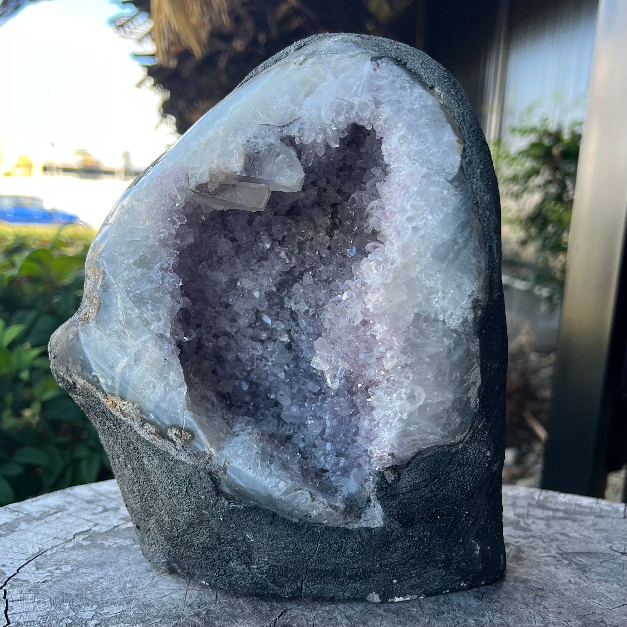 Amethyst Standing Cluster Geode