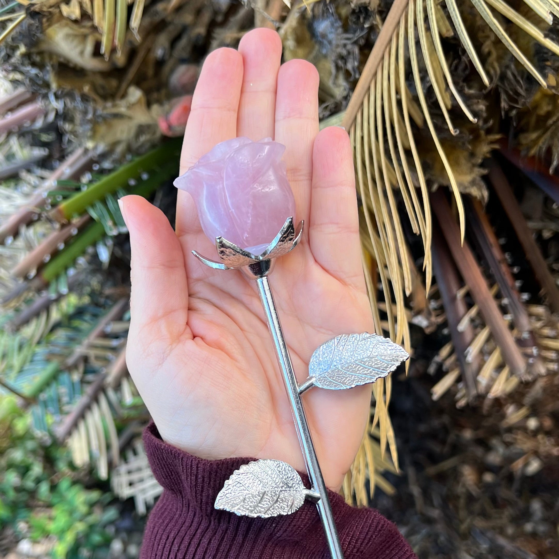 Rose Quartz Everlasting Rose