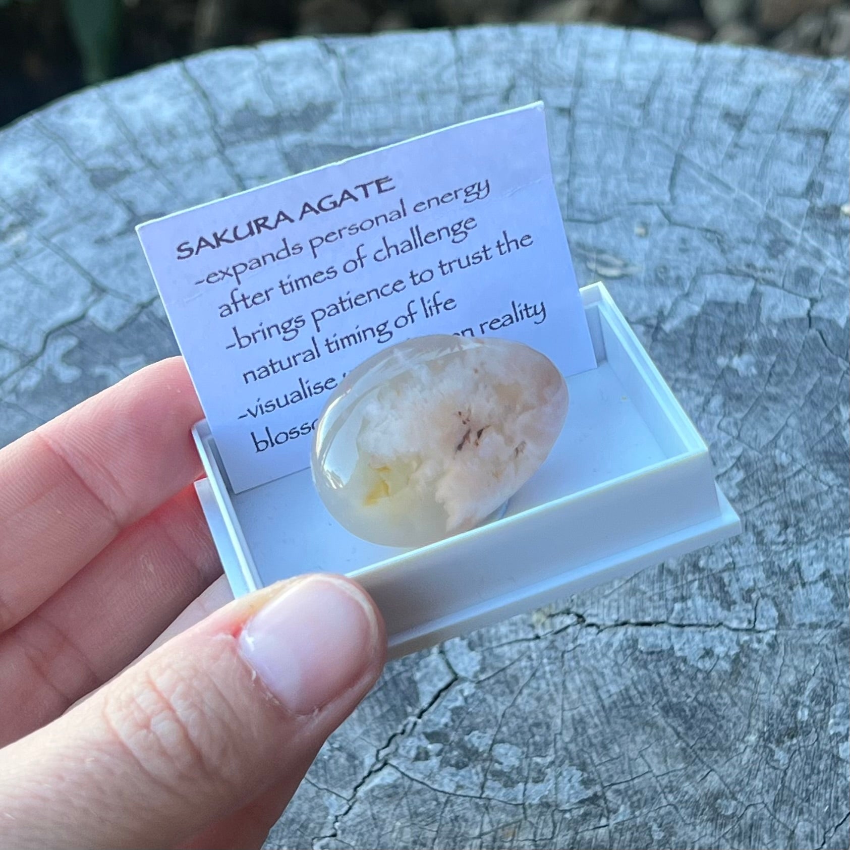 Sakura Agate ~ Specialty Boxed Crystal