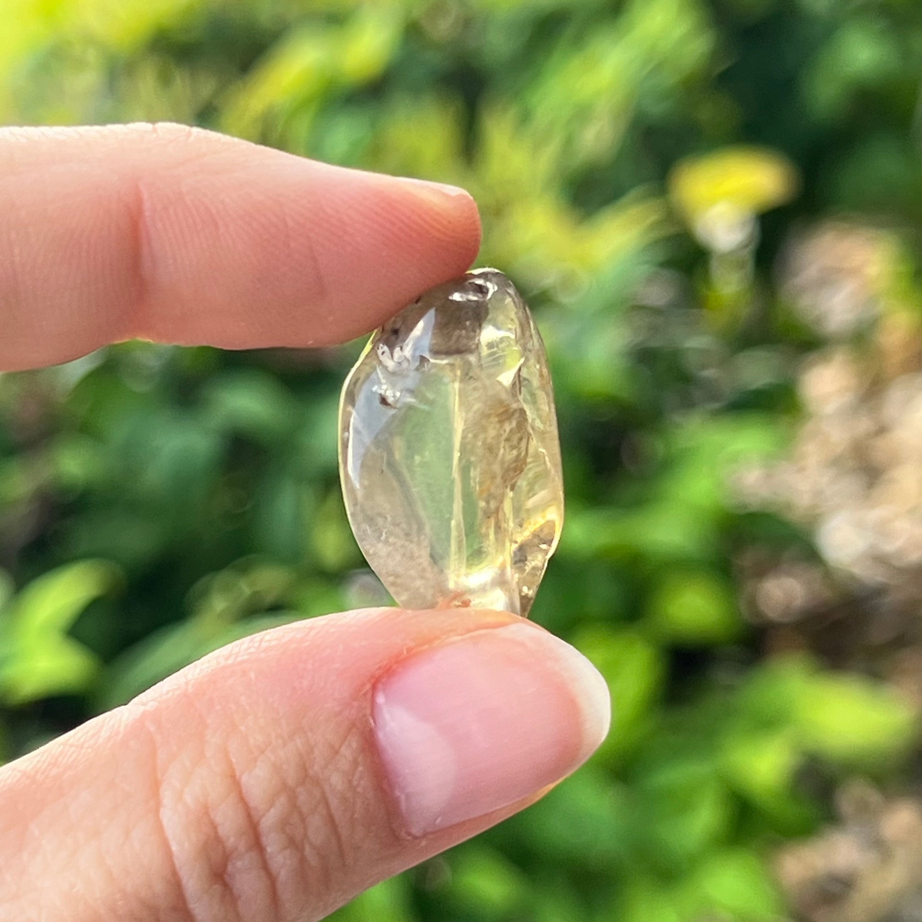 Golden Labradorite ~ Specialty Boxed Crystal
