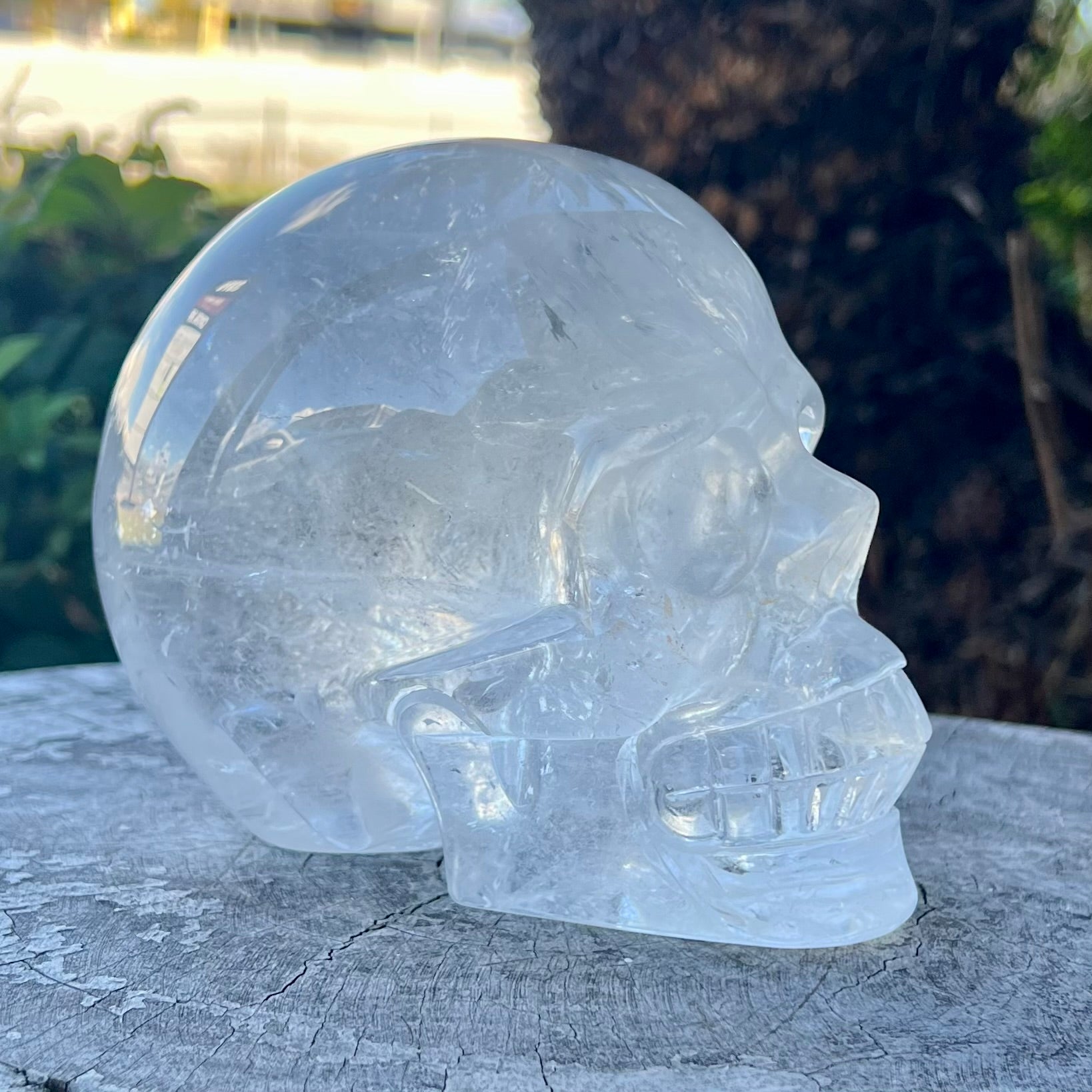 Clear Quartz Skull Carving