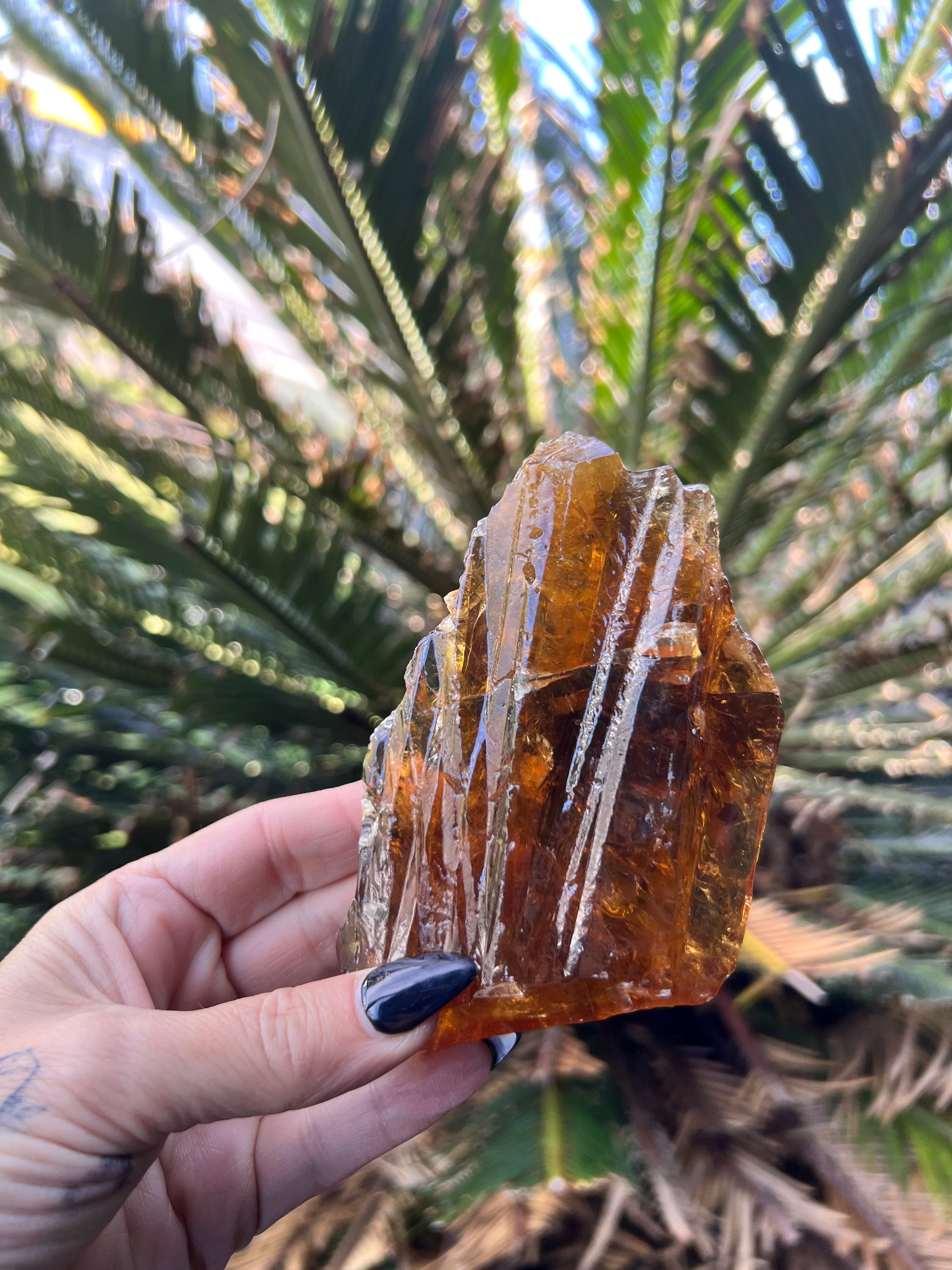 Amber with Quartz Raw Specimen