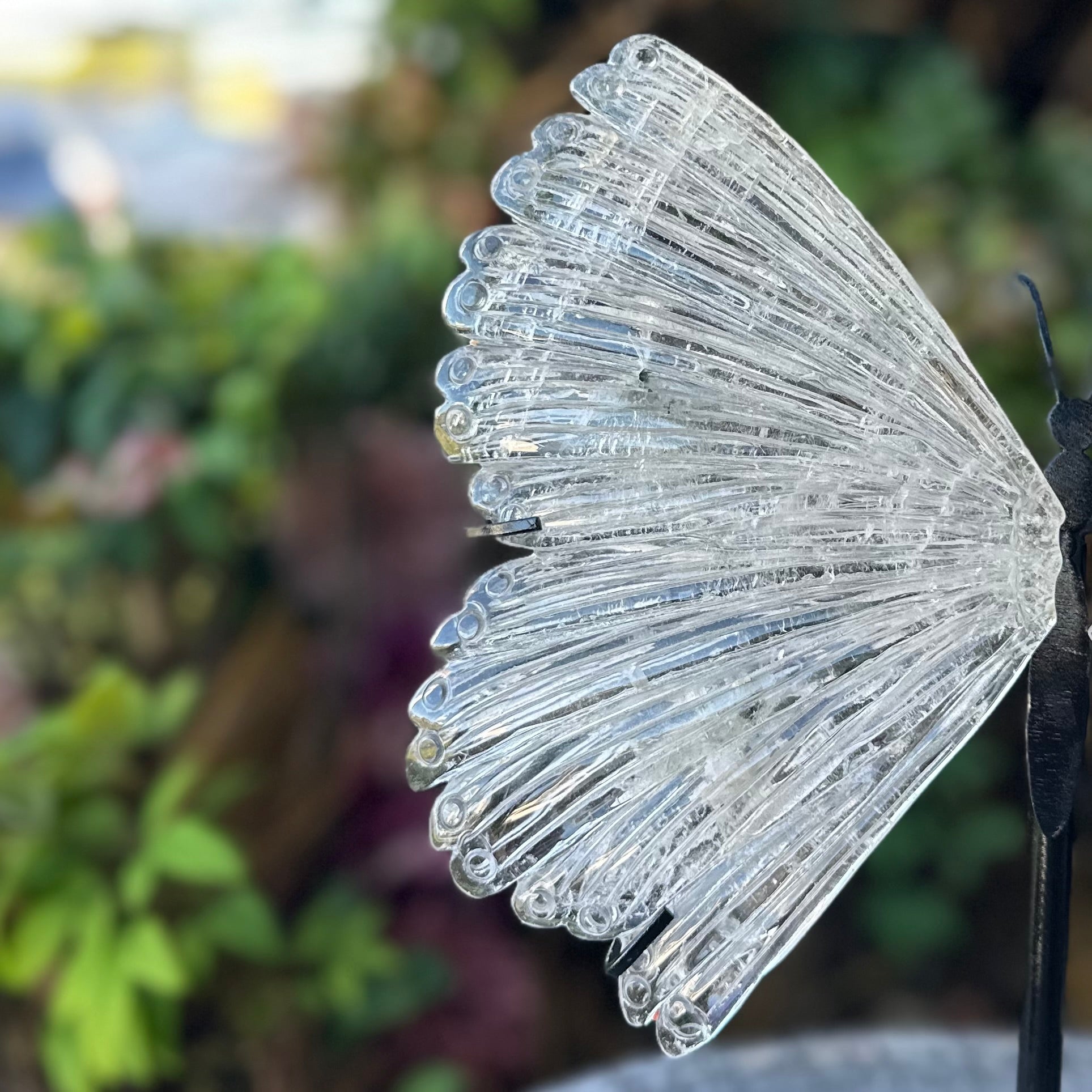 Clear Quartz Butterfly on Stand