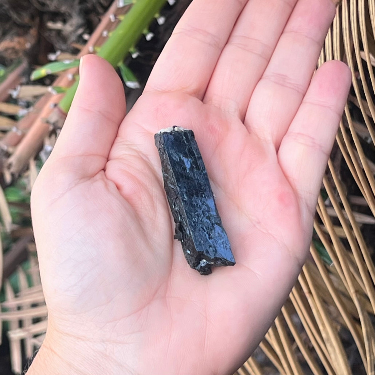 Black Tourmaline ~ Specialty Crystal