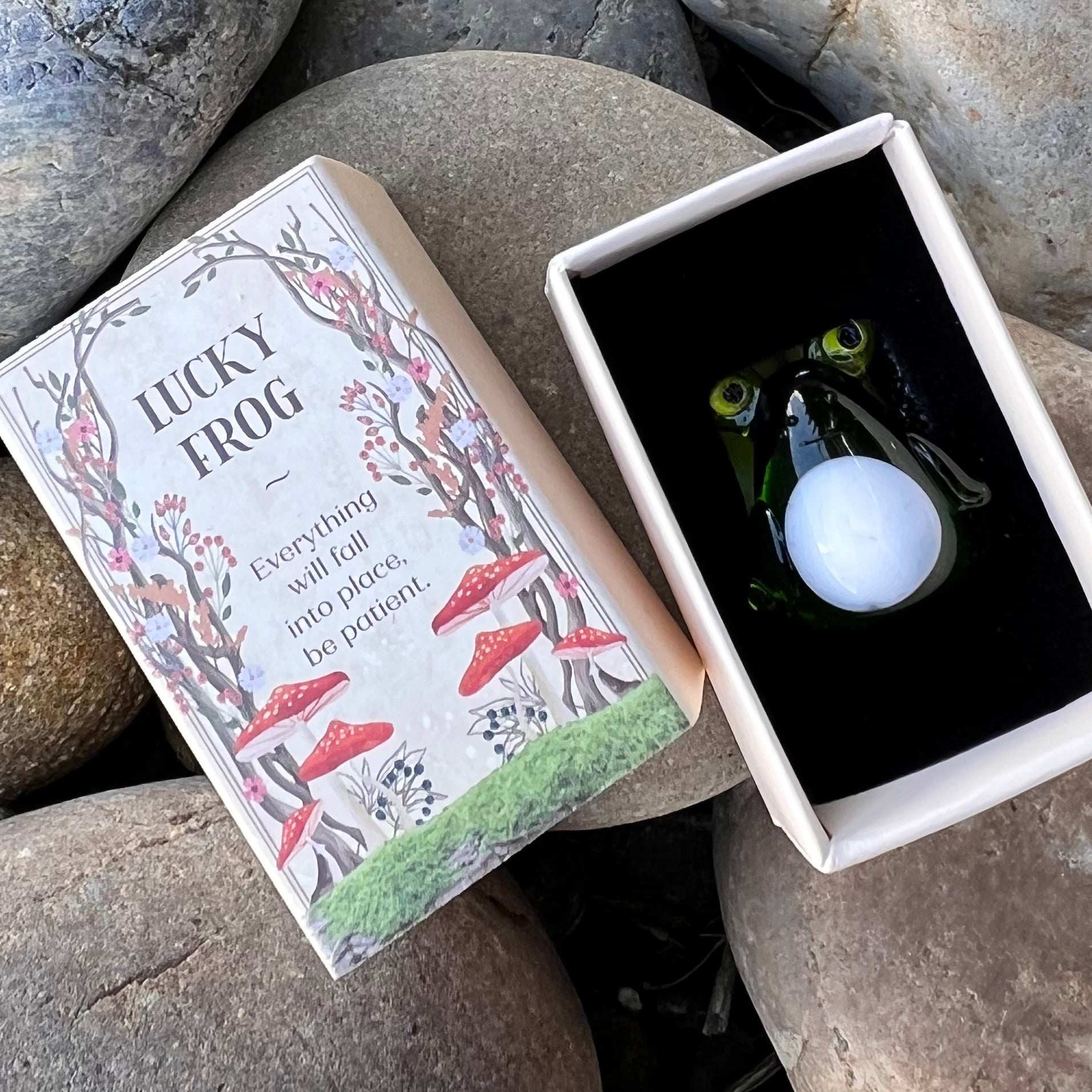 Little Lucky Frog  ~ In Box