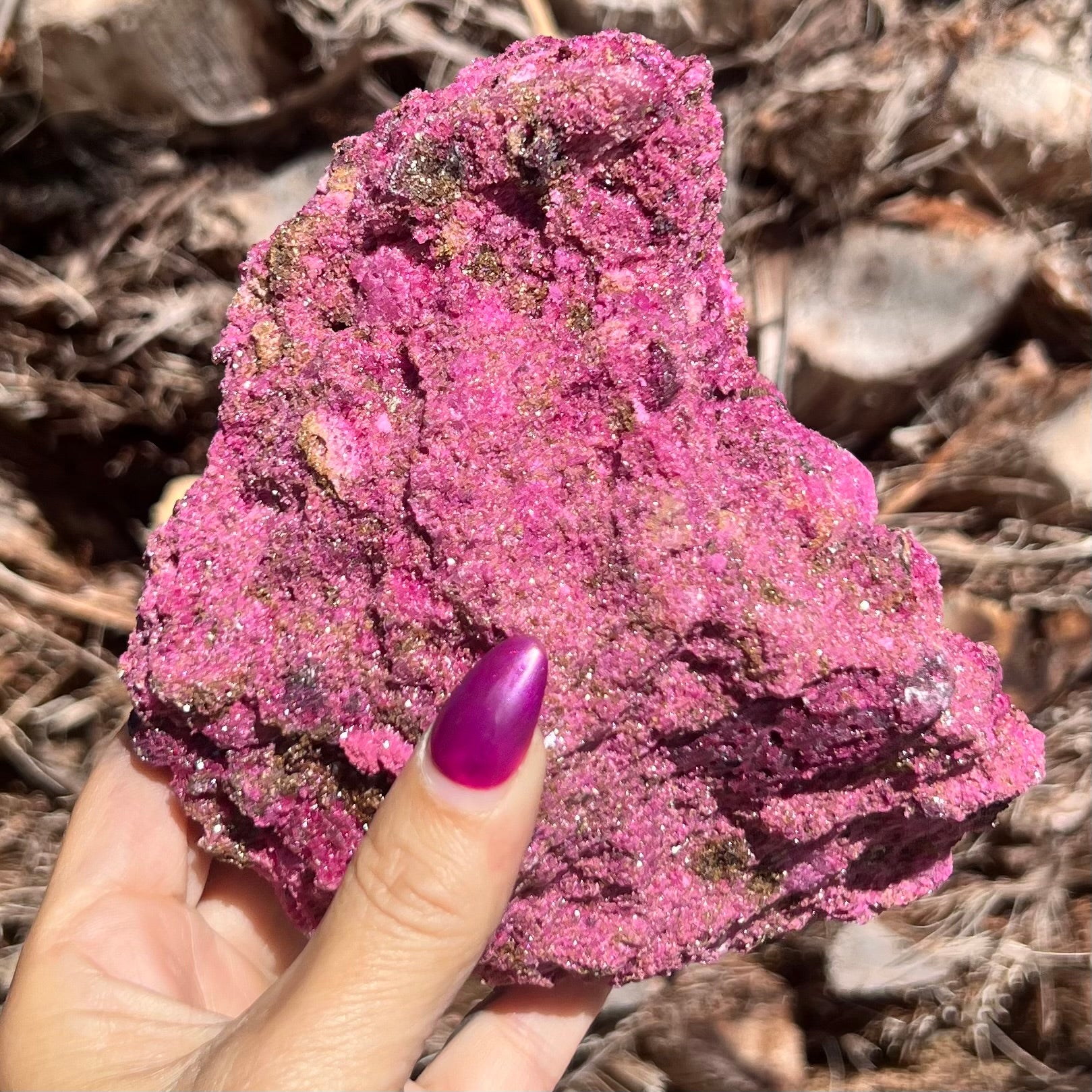 Glorious Ruby with Pyrite Specimen