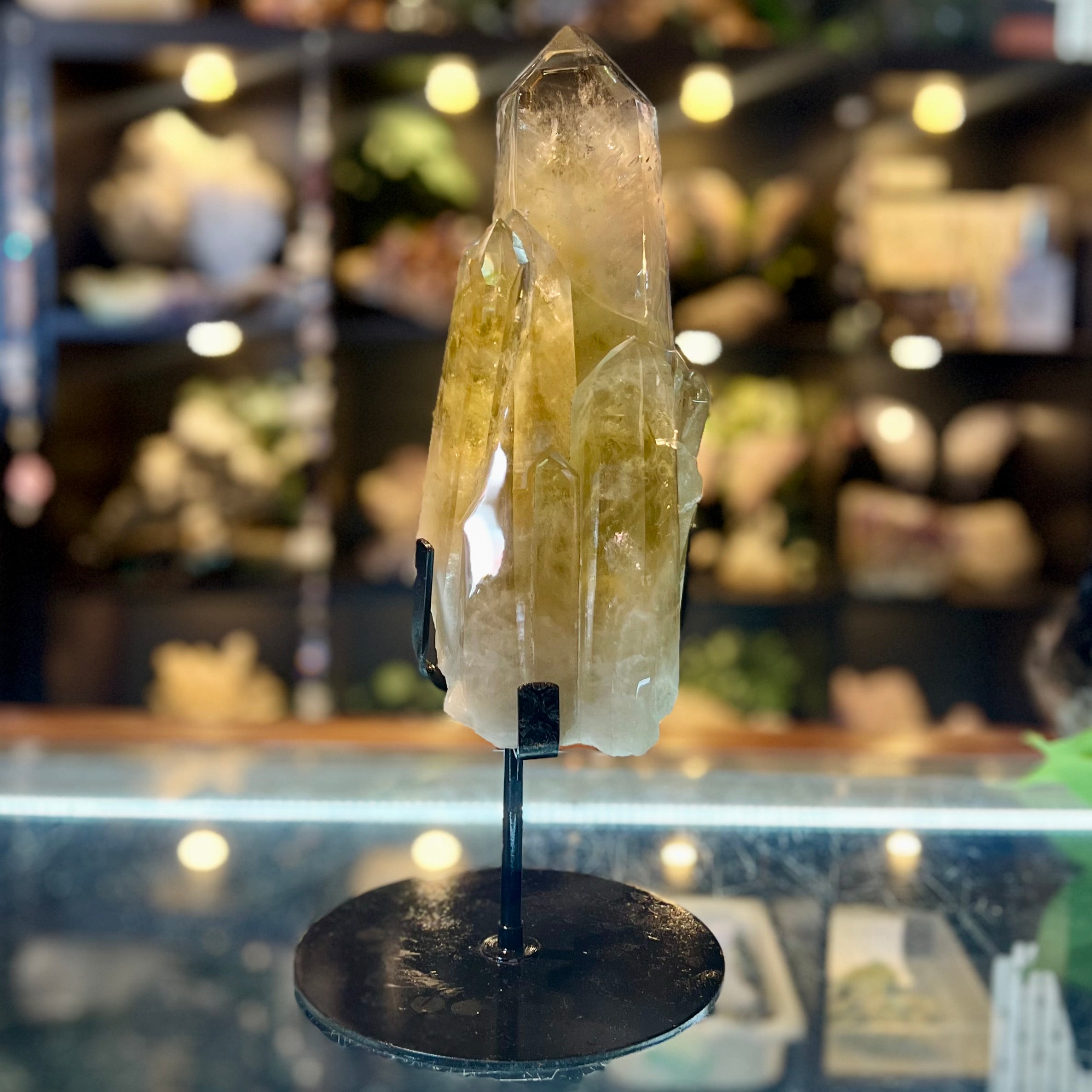 Spectacular Citrine Point Cluster on Stand