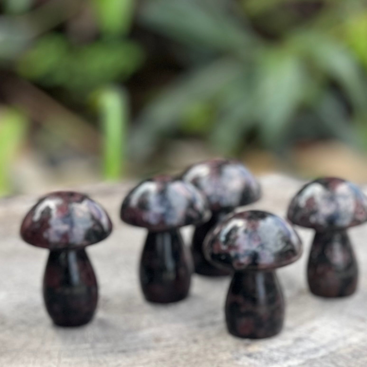 Garnet Mushrooms