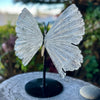 Clear Quartz Butterfly on Stand