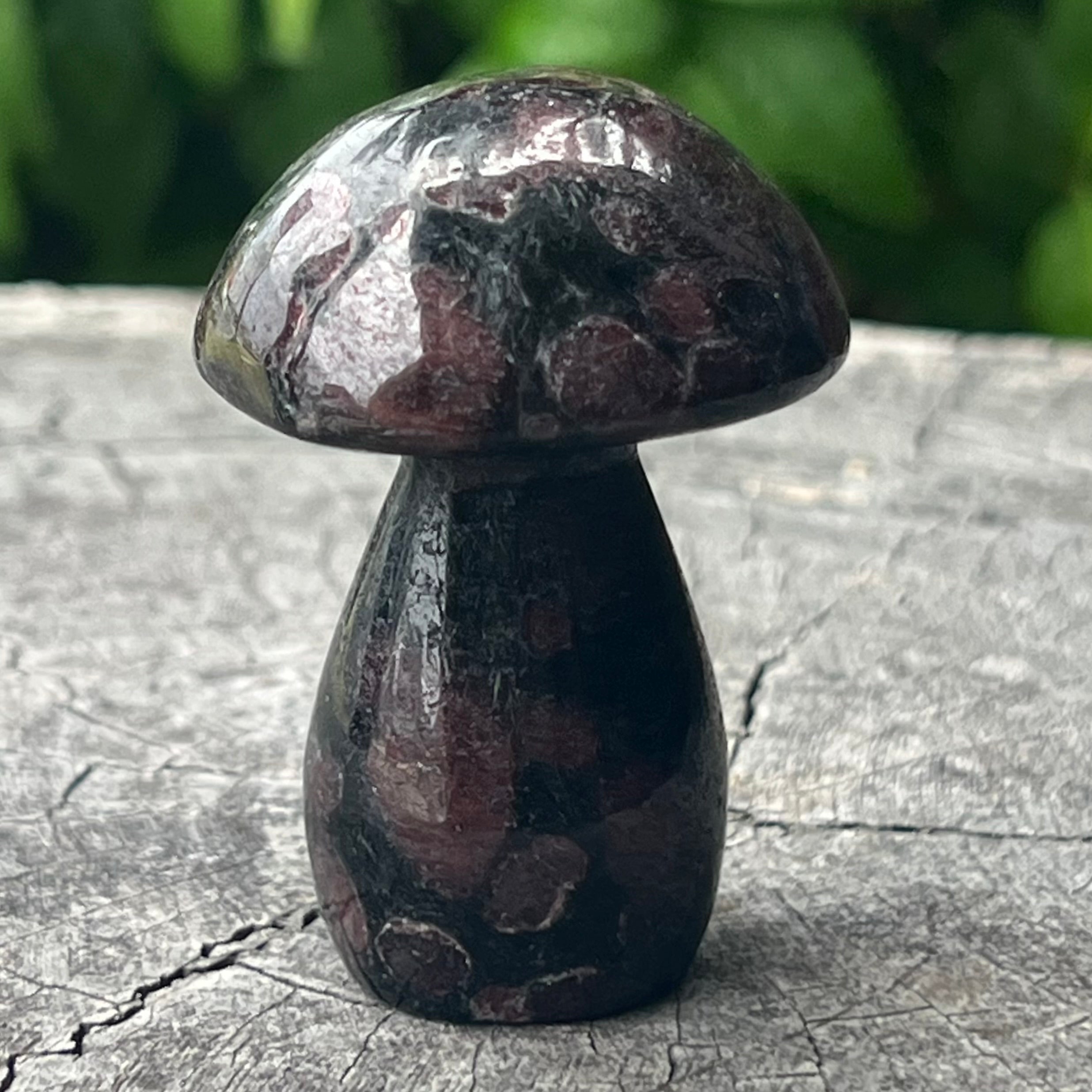 Garnet Mushroom Carving
