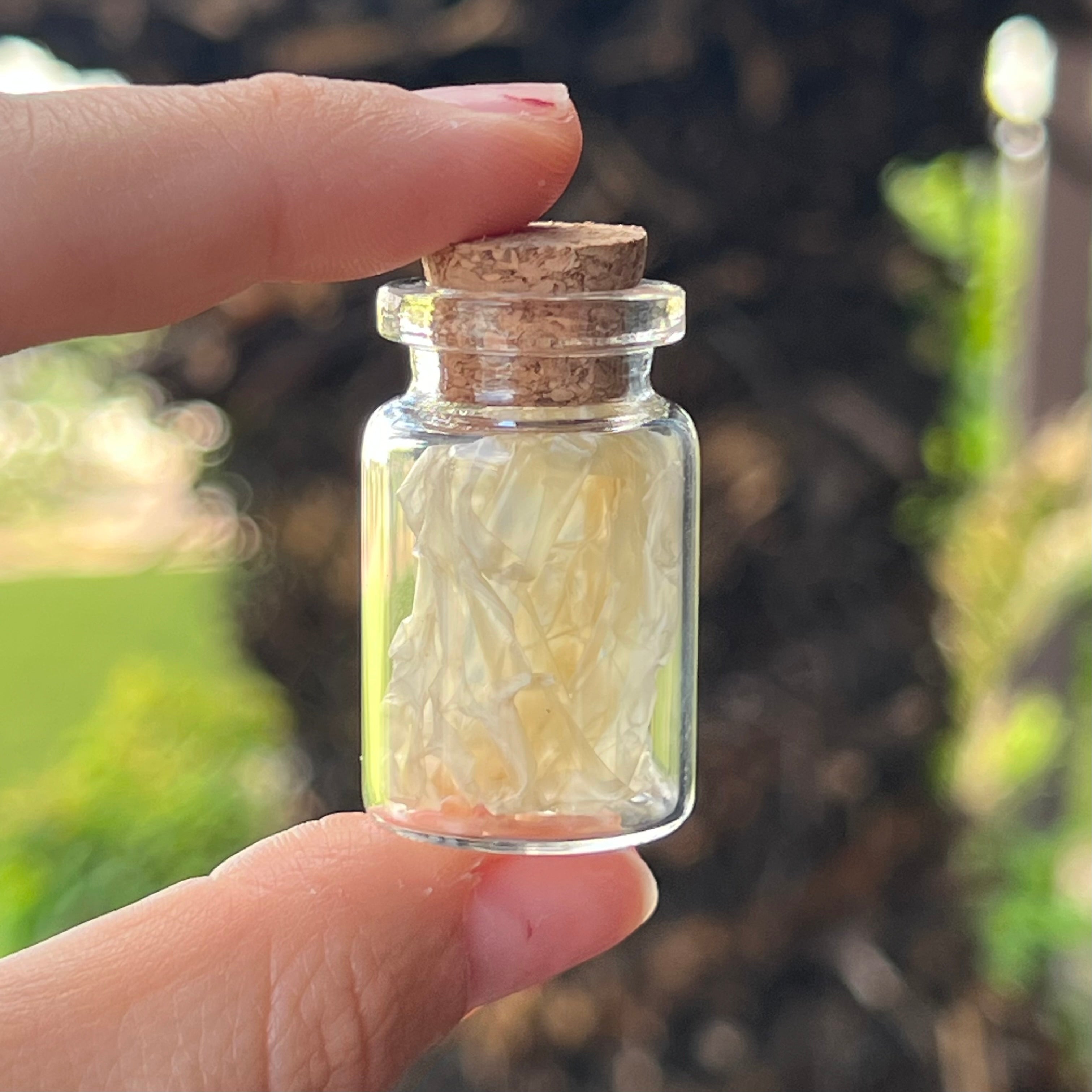Snake Skin ~ Transformation and Protection