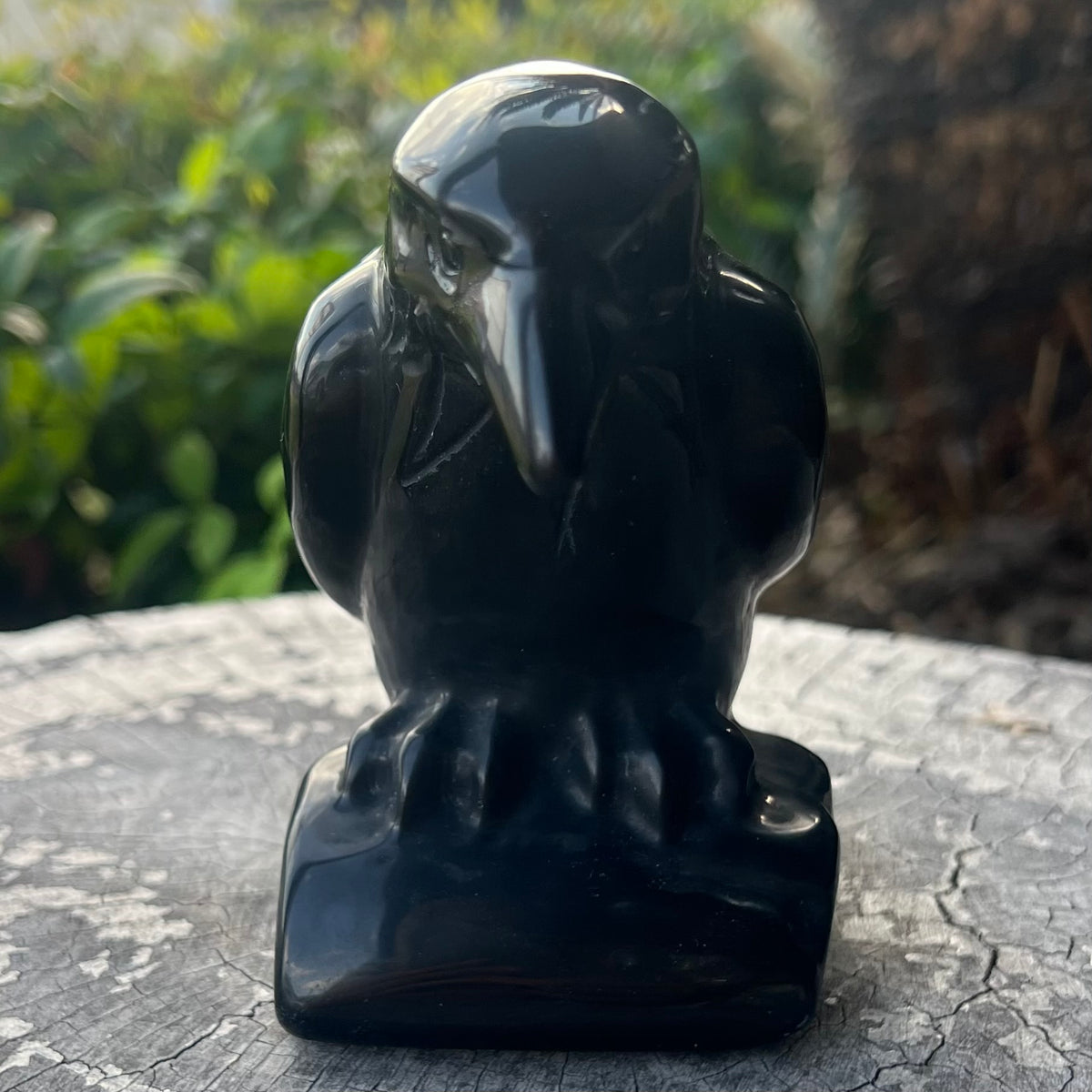 Raven Carving ~ Black Obsidian