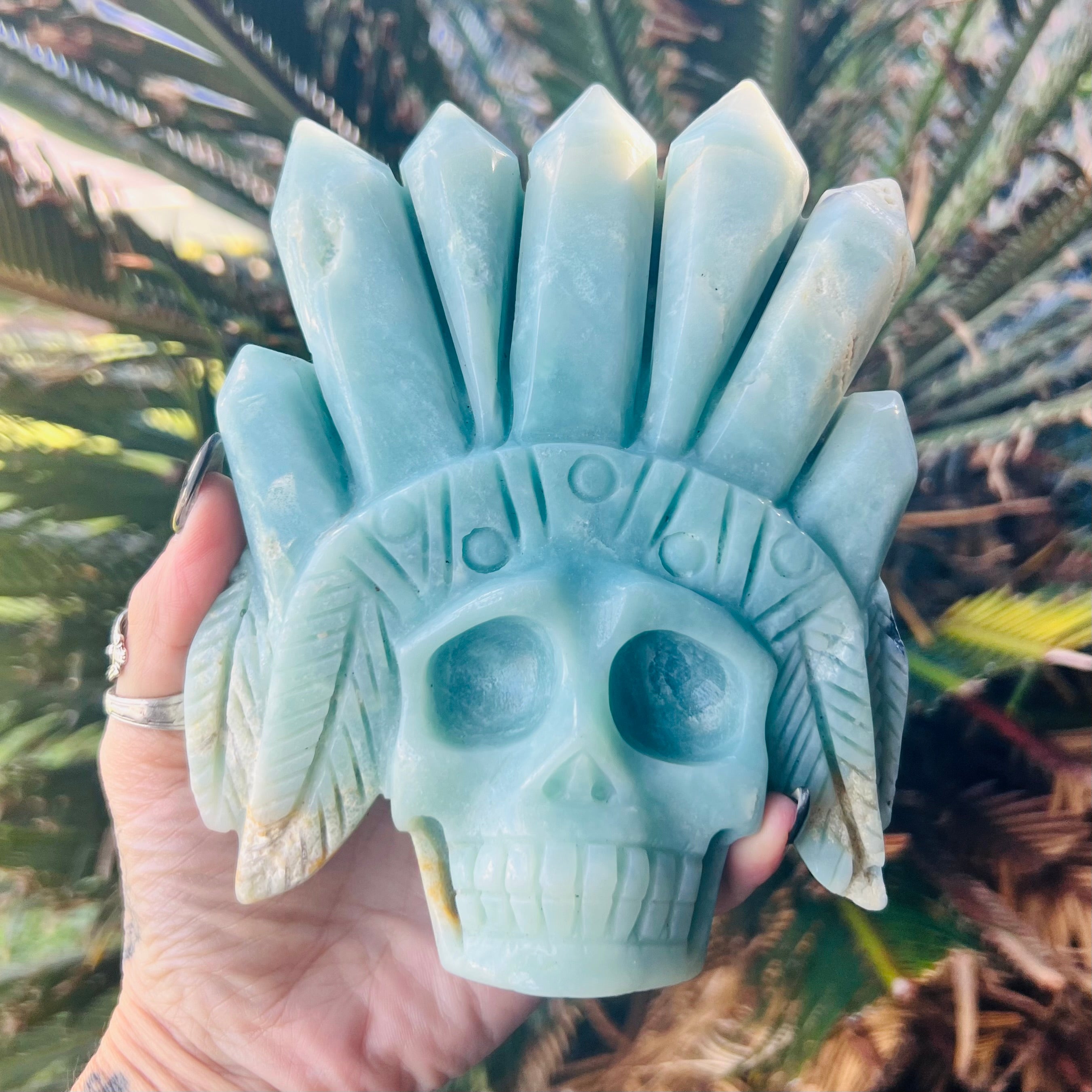 Indian Scull ~ Blue Aragonite
