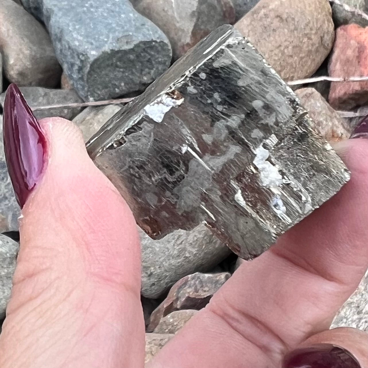 Pyrite Specimen ~ Specialty Boxed Crystal