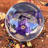 Violet Everlasting Flower Sphere