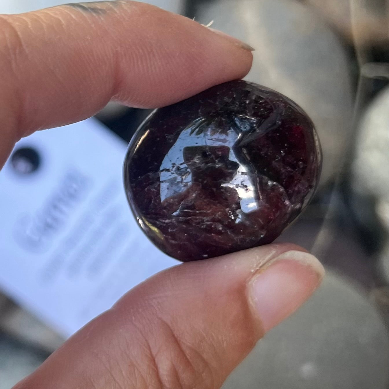 Garnet ~ Specialty Boxed Crystal