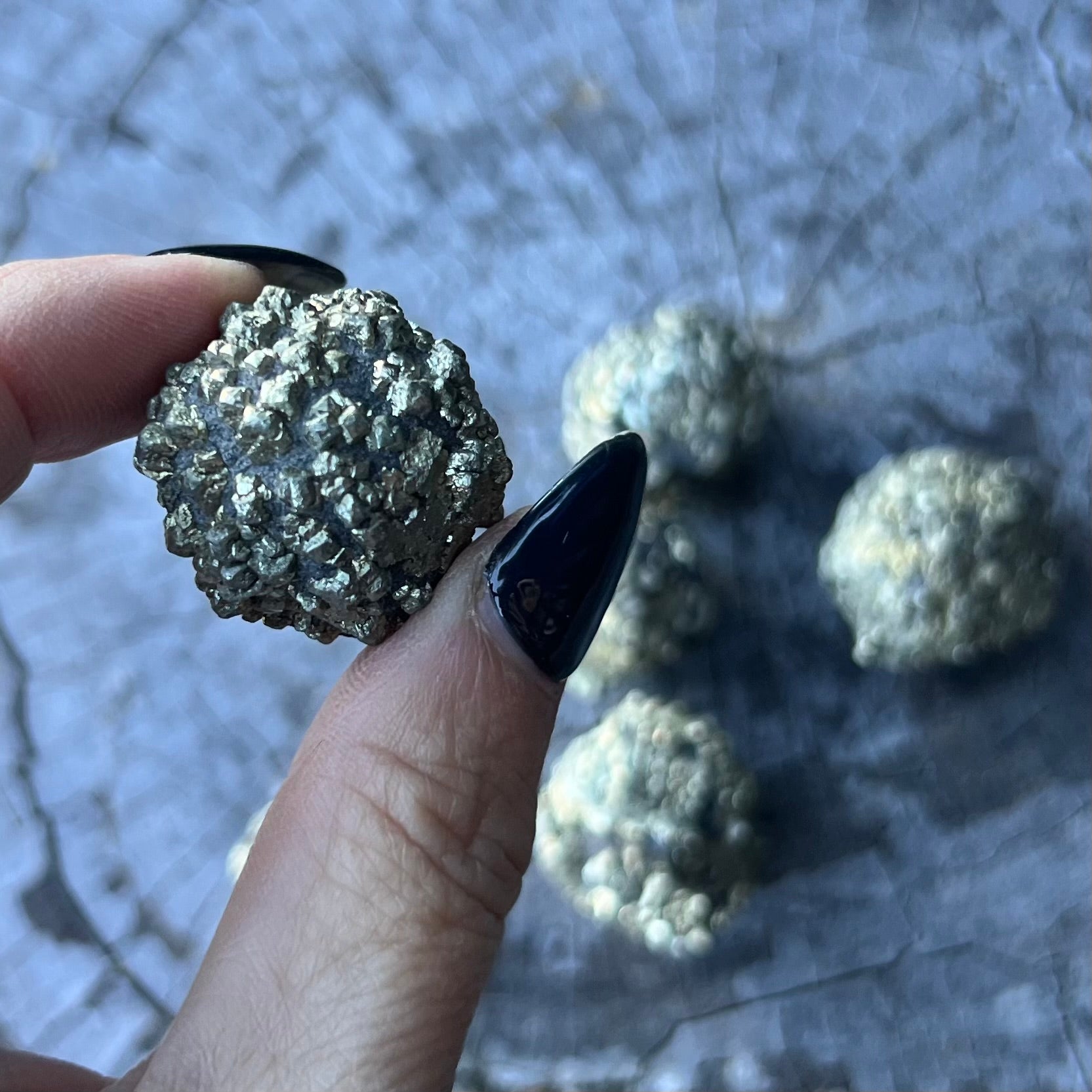 Pyrite on Shungite Specimen