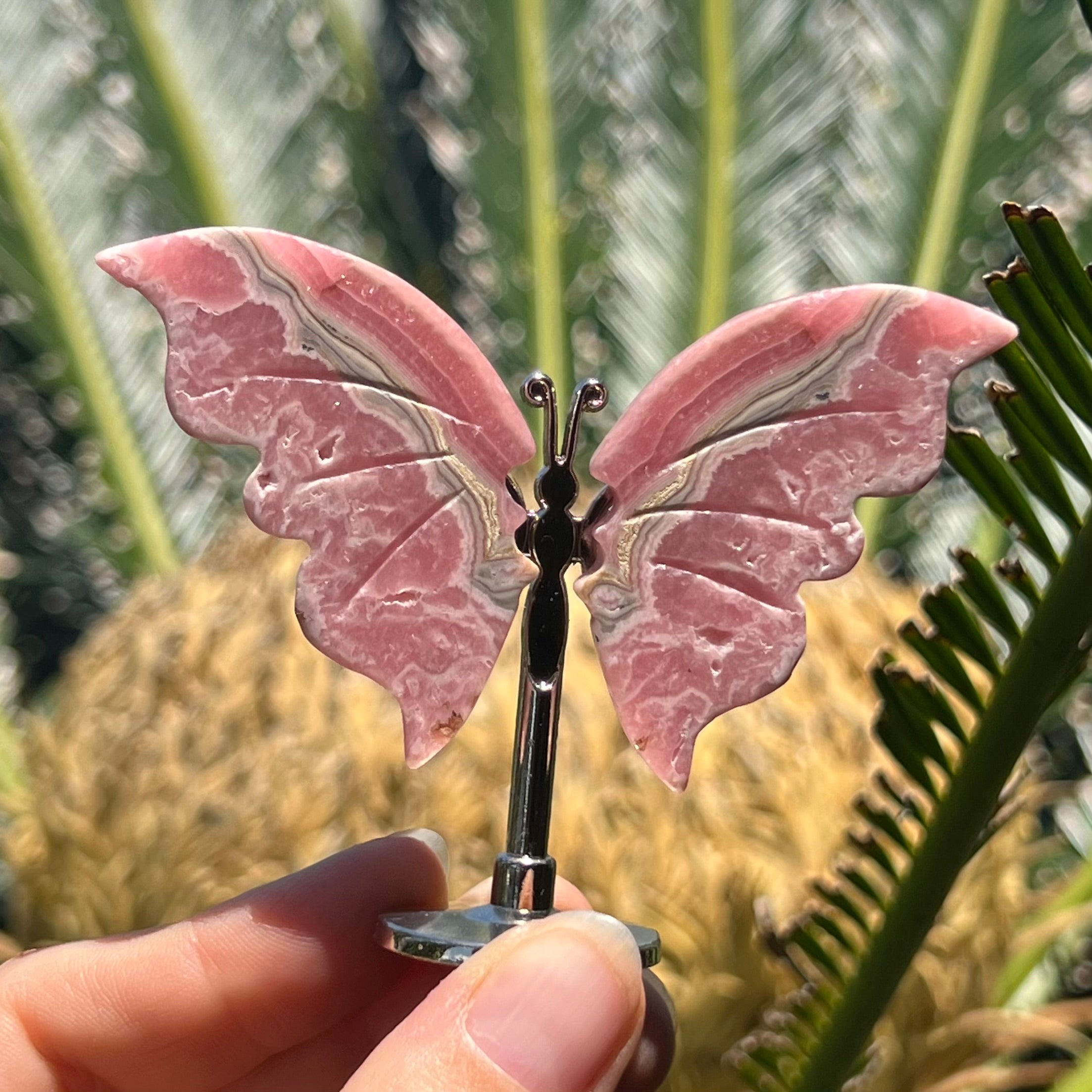 Mini Rhodochrosite Butterfly on Stand