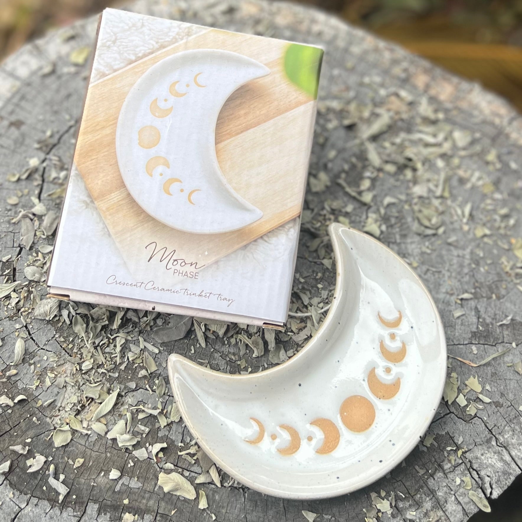 Moon Phase ~ Trinket Dish