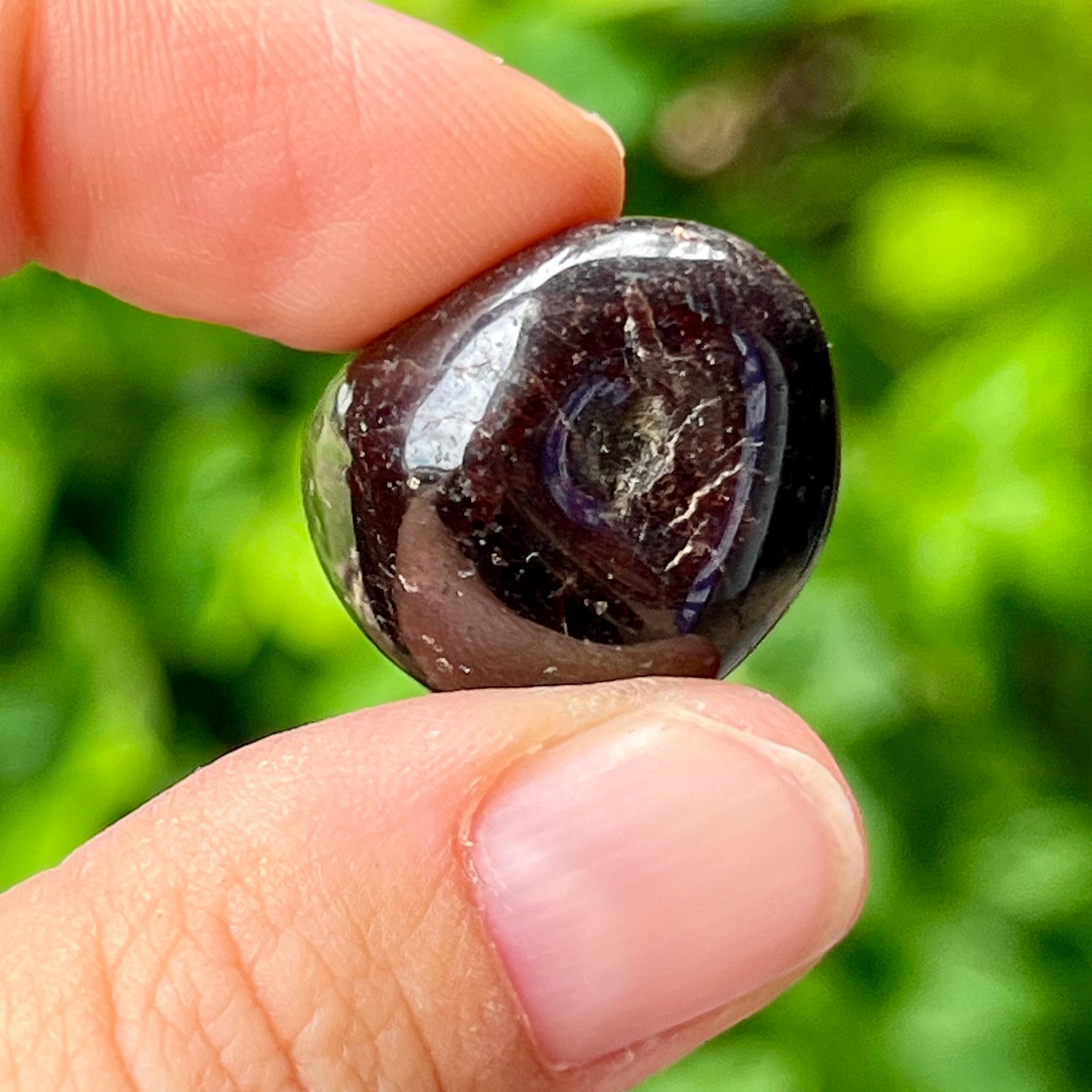 Garnet ~ Specialty Boxed Crystal