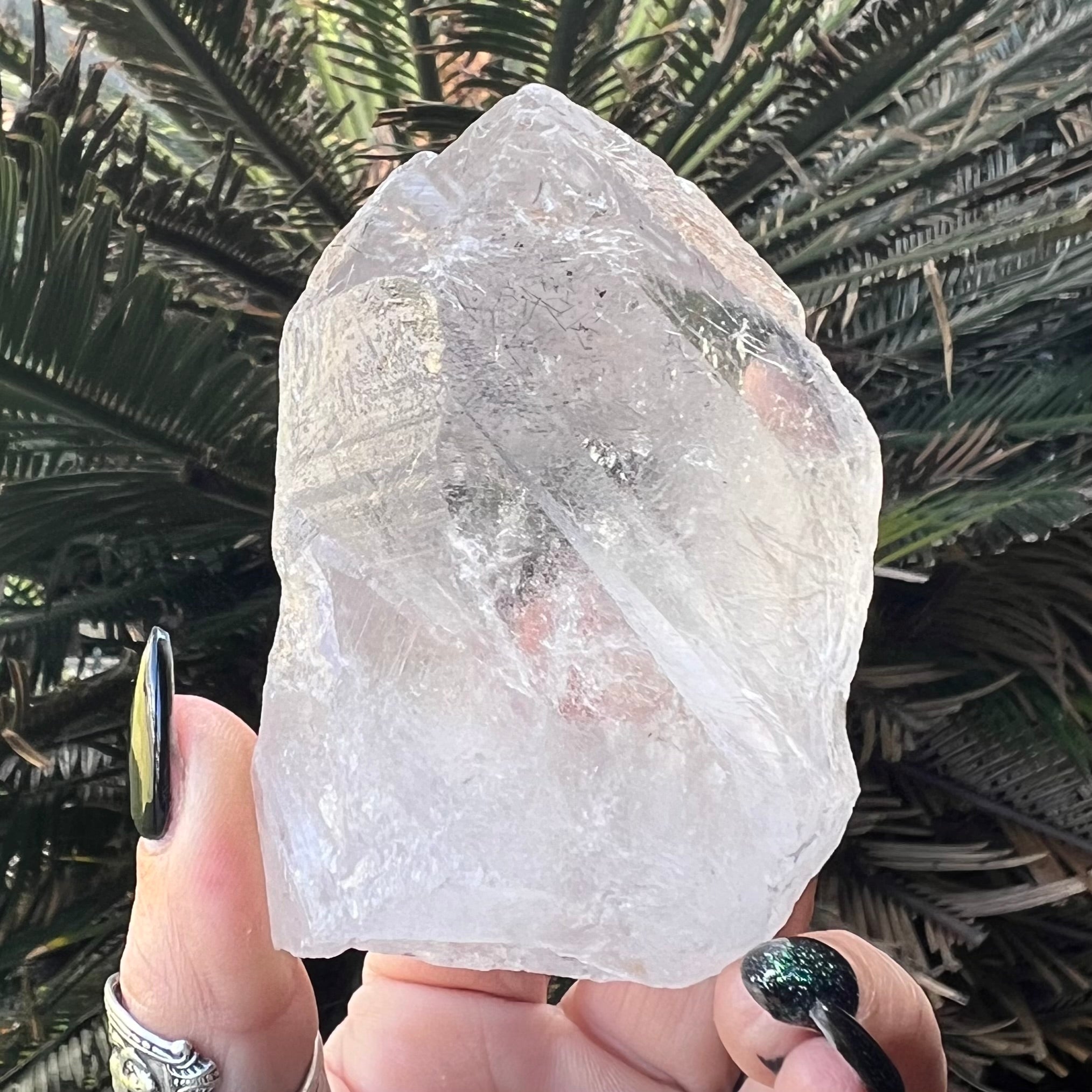 Raw Lumerian Seed Specimen with Phantom