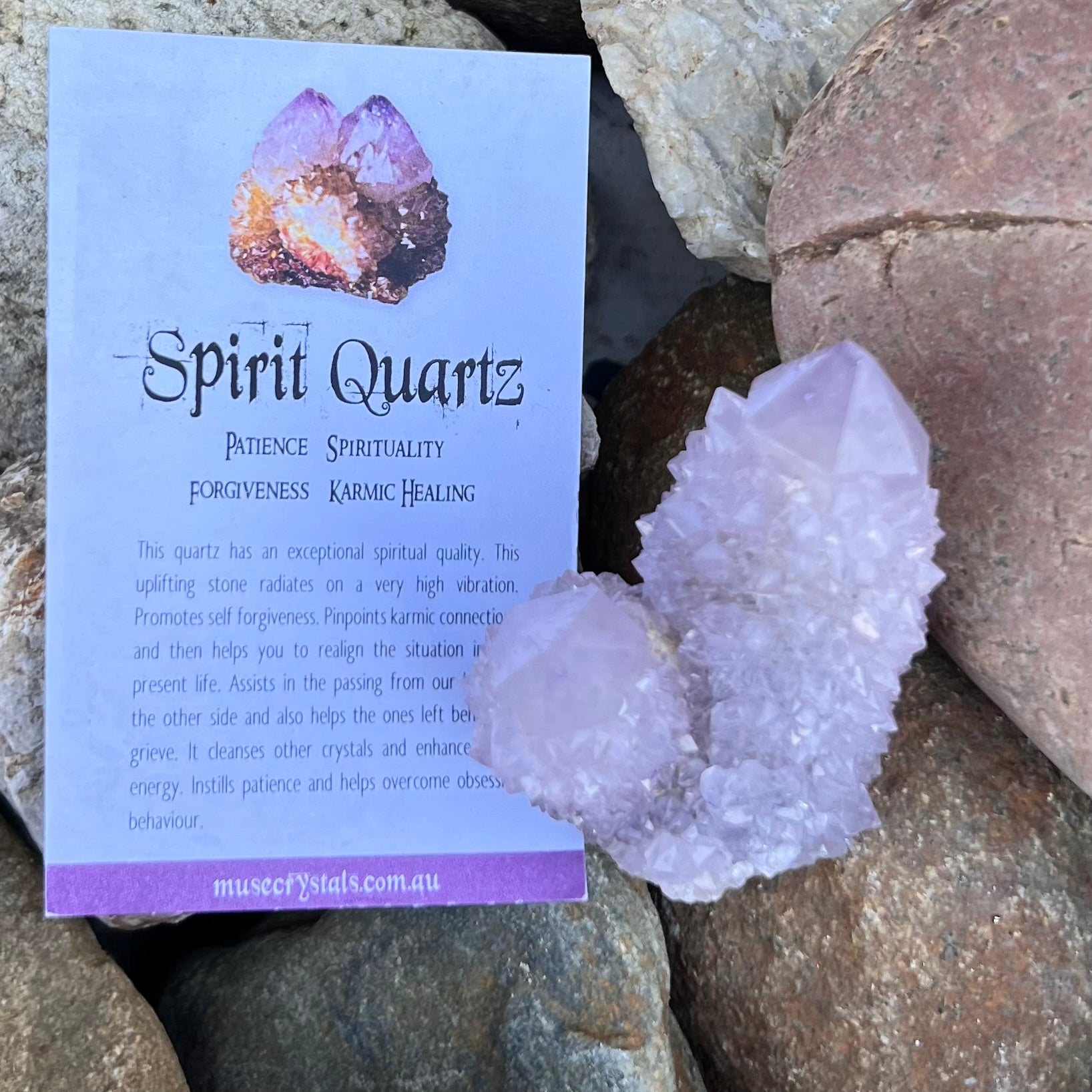 Spirit Quartz Cluster ~ Specialty Boxed Crystal