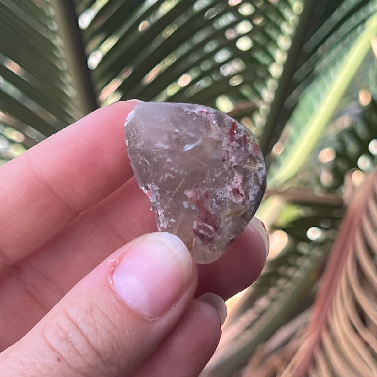 Rutilated Quartz ~ Specialty Boxed Crystal