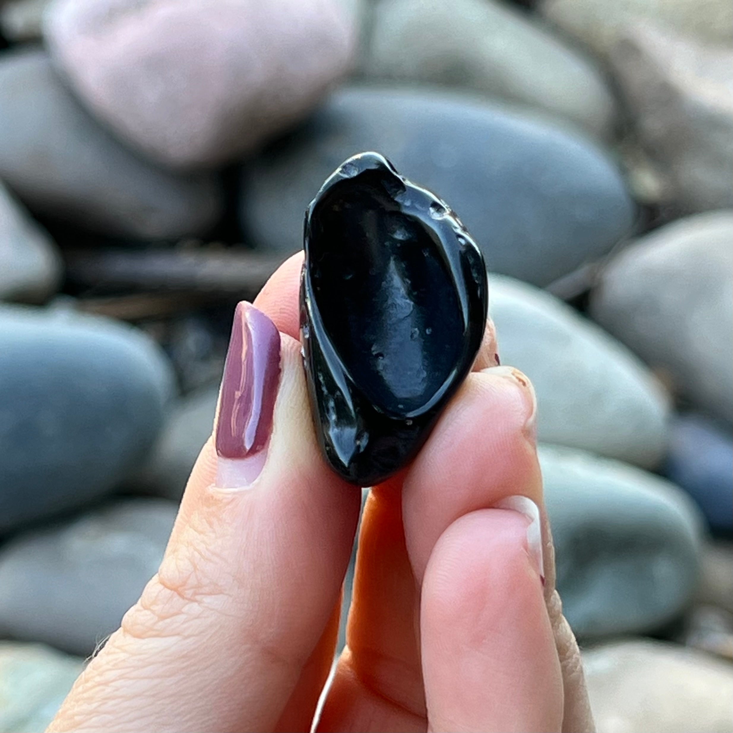 Tektite ~ Specialty Boxed Crystal