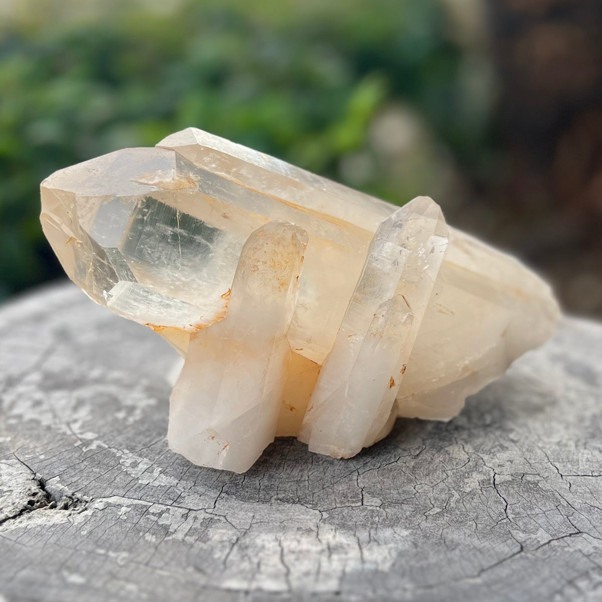 Clear Quartz Cluster