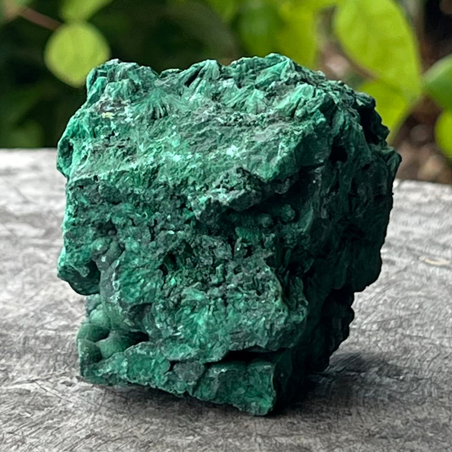 Malachite ~ Natural Piece