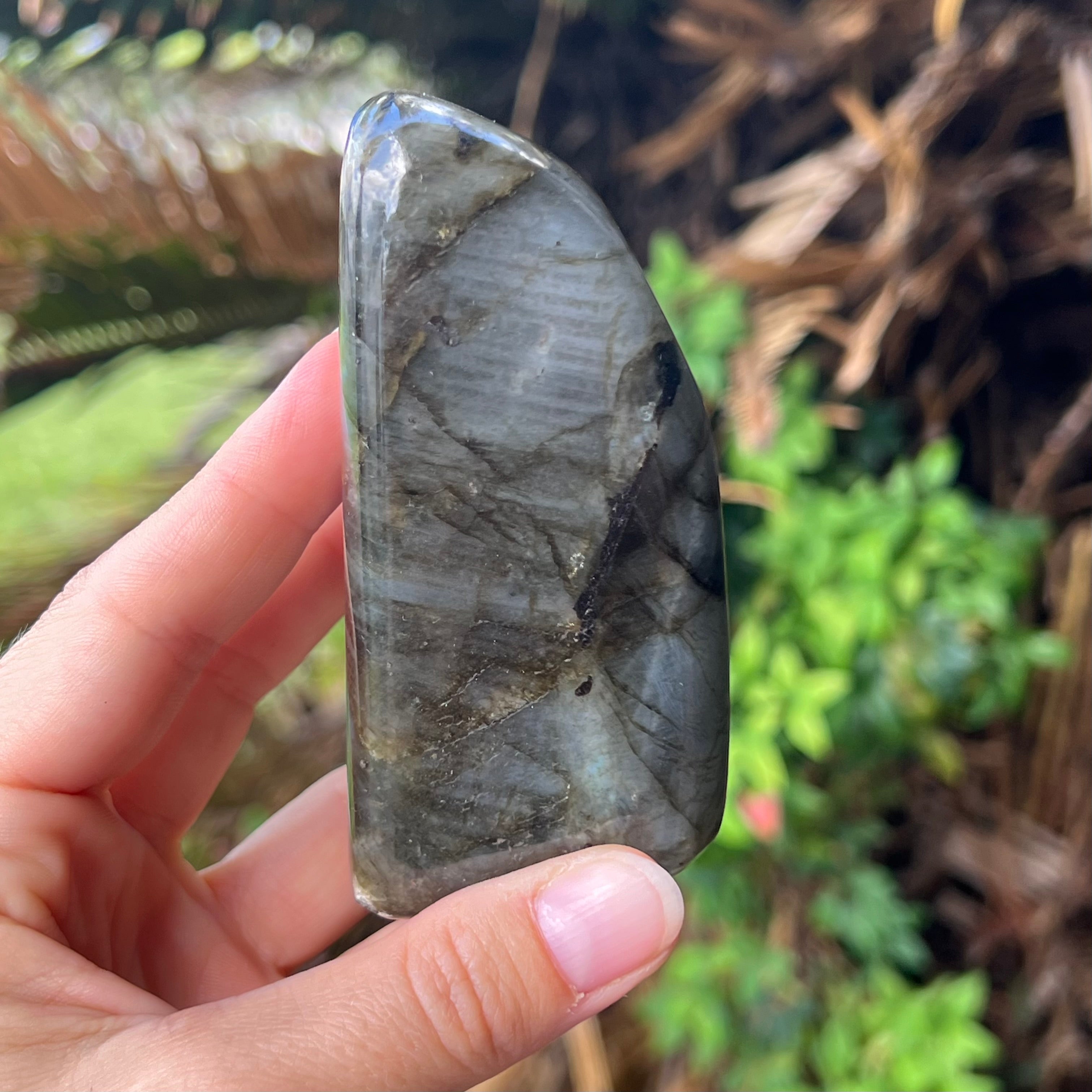 Labradorite Freeform