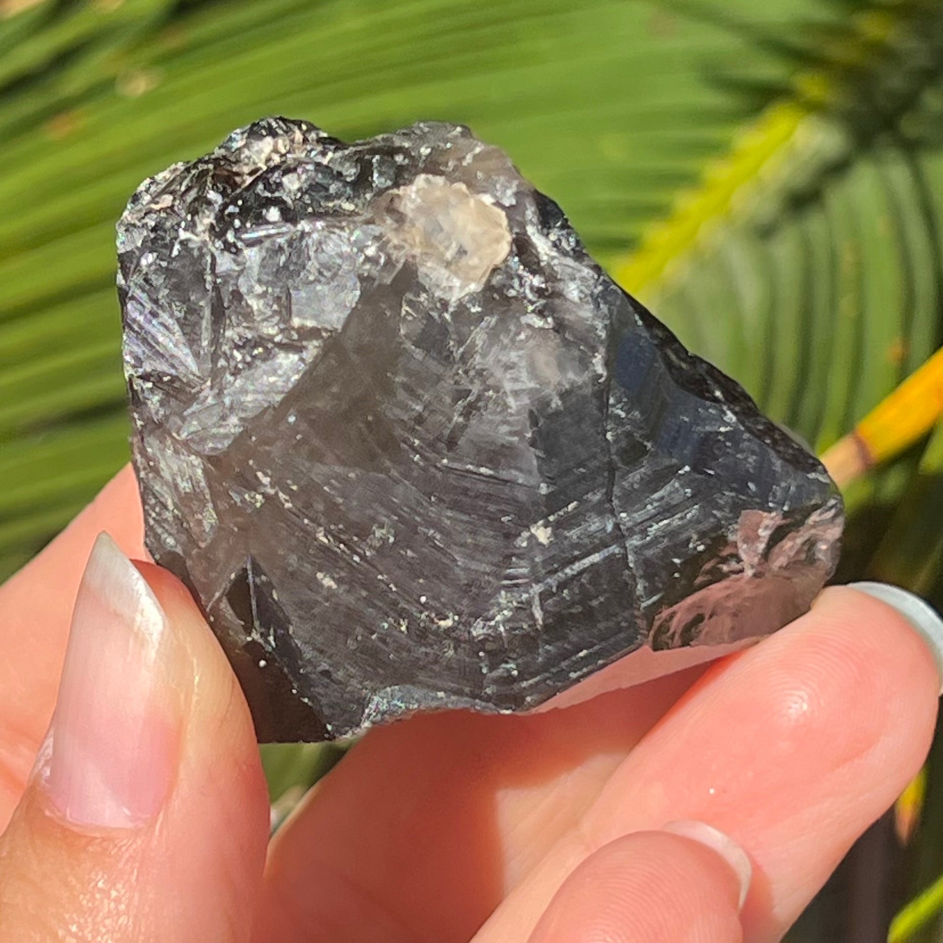 Amethyst ~ Smokey Quartz ~ Citrine ~ Raw Record Keeper