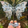 Moss Agate Butterfly on Stand