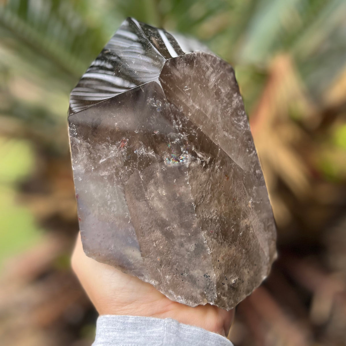 Incredible Natural Semi Raw Smokey Point
