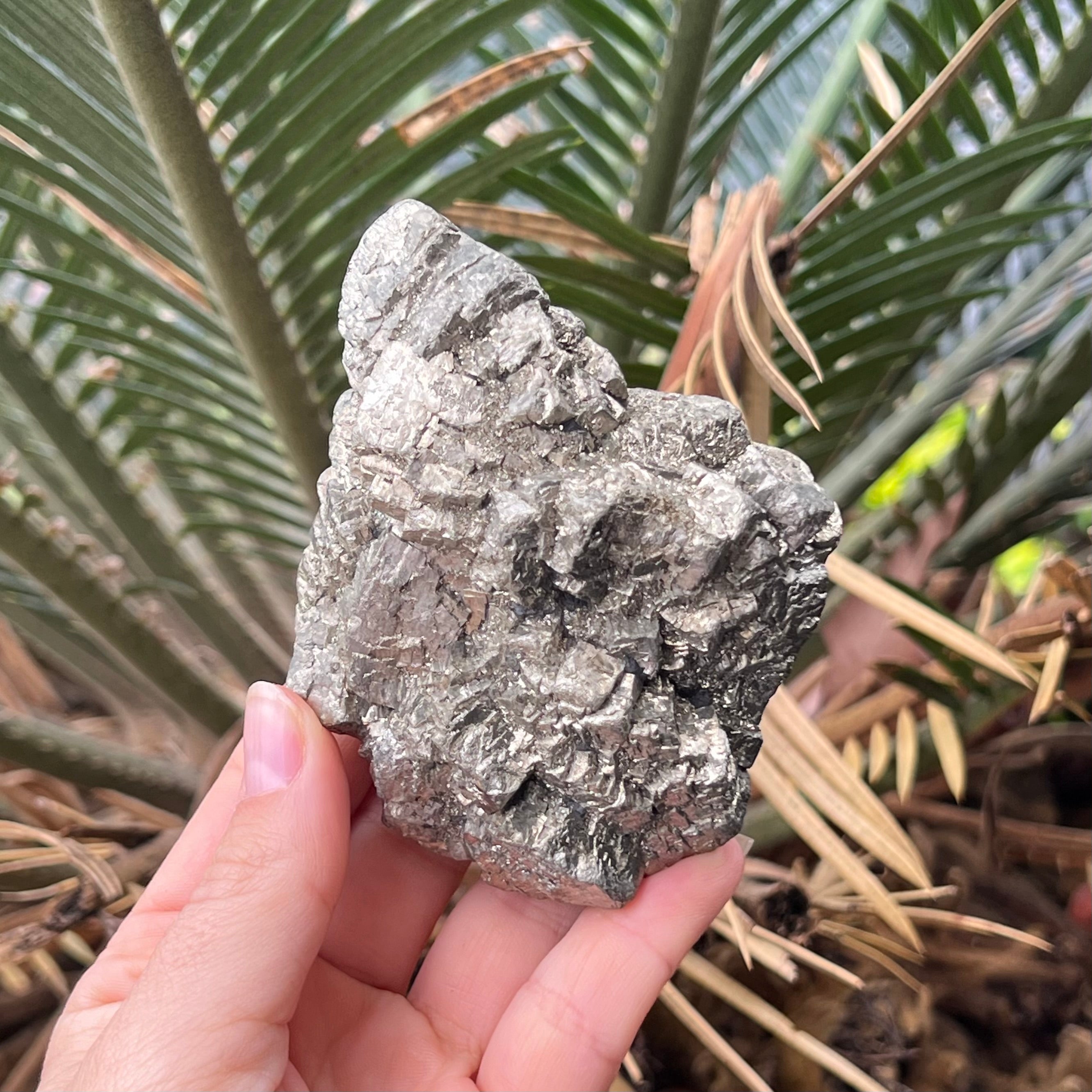 Pyrite Specimen