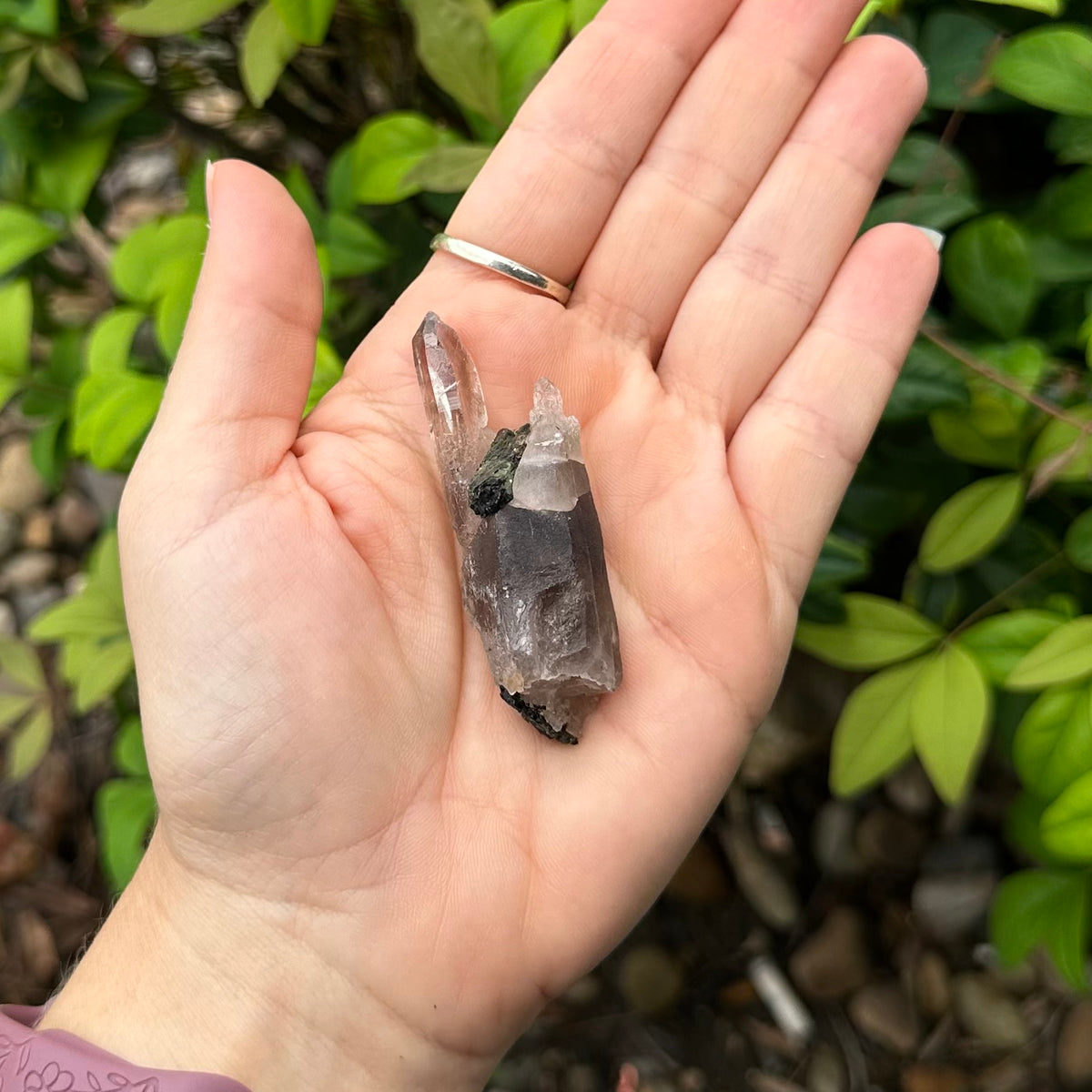 Smokey Quartz ~ Specialty Boxed Crystal