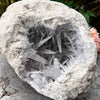 Celestite Dog Tooth Cluster Specimen