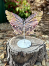 Mookaite Butterfly on Stand