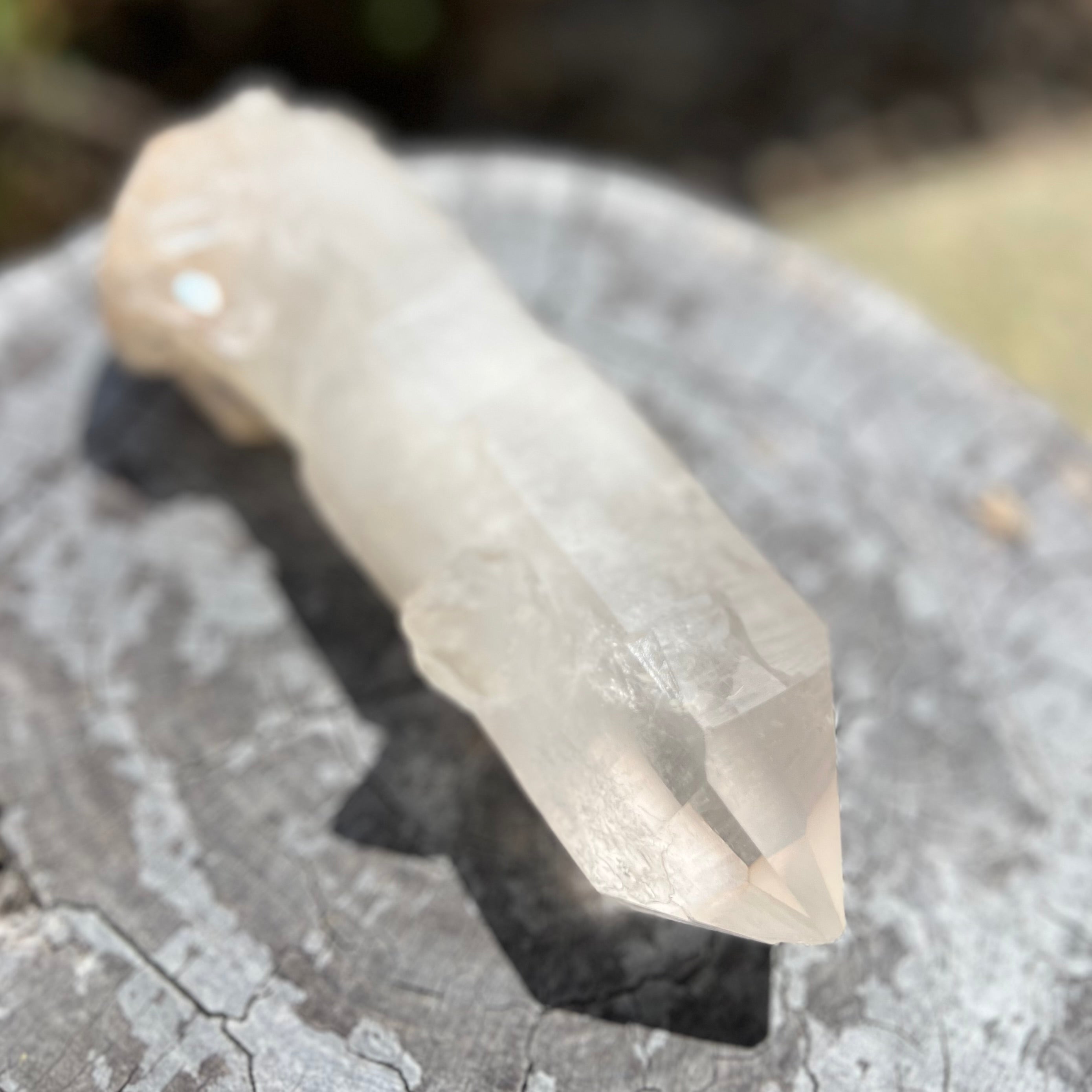 Lemurian Point Specimen