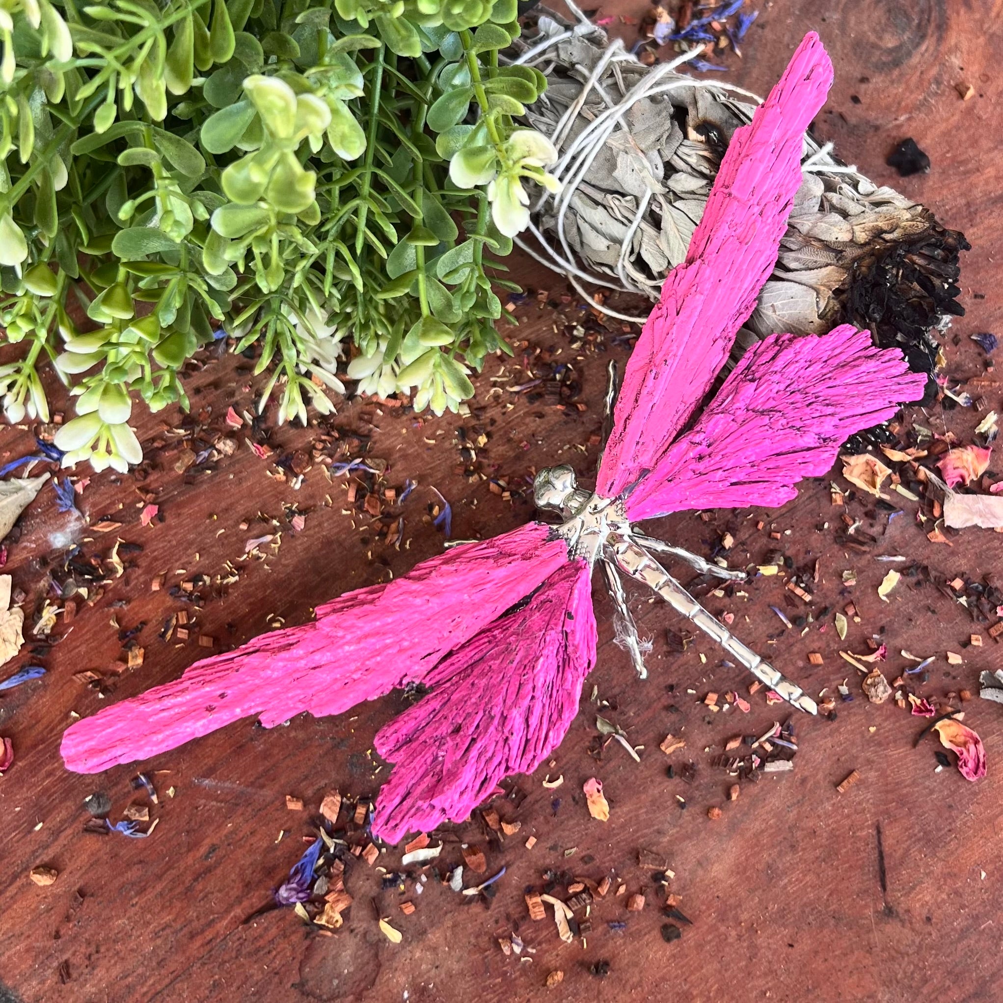 Dragon Fly ~ Kyanite Electroplate ~ Pink